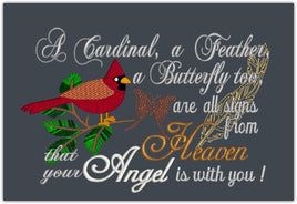 A Cardinal, A Feather 9x6
