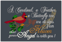 A Cardinal A Feather (2 parts)  5x7